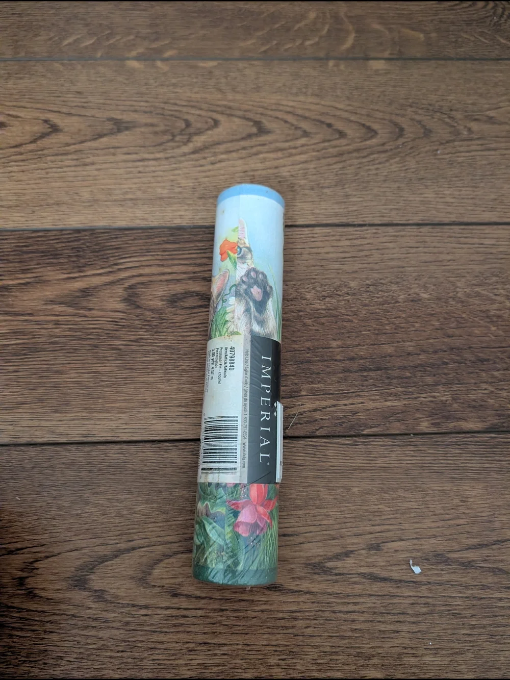 Vintage Floral Garden Wallpaper Border with Kittens Whimsical